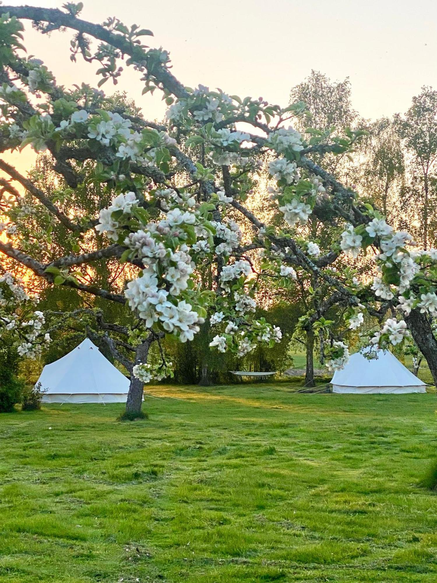 Hotel Soerby Glamping Klockrike Zewnętrze zdjęcie